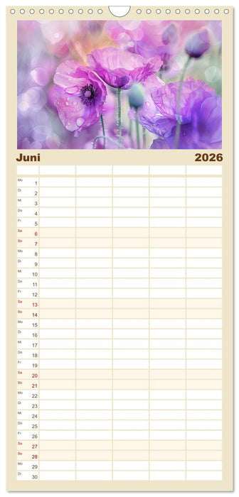Bezaubernde Mohnblumen (CALVENDO Familienplaner 2026)
