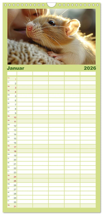 Mein bester Kumpel ist eine Ratte (CALVENDO Familienplaner 2026)