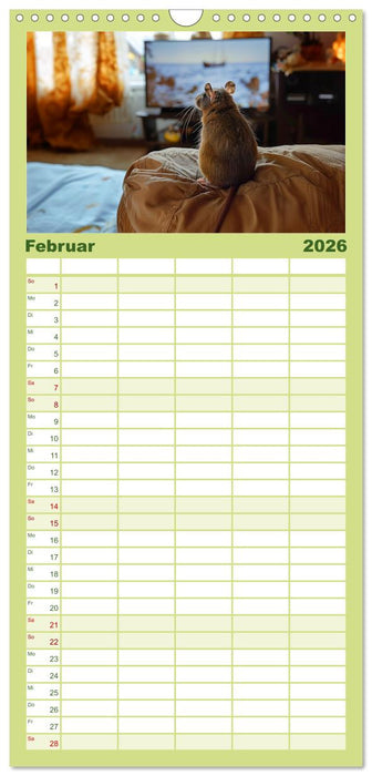 Mein bester Kumpel ist eine Ratte (CALVENDO Familienplaner 2026)