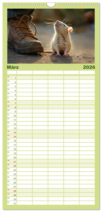 Mein bester Kumpel ist eine Ratte (CALVENDO Familienplaner 2026)