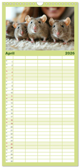 Mein bester Kumpel ist eine Ratte (CALVENDO Familienplaner 2026)