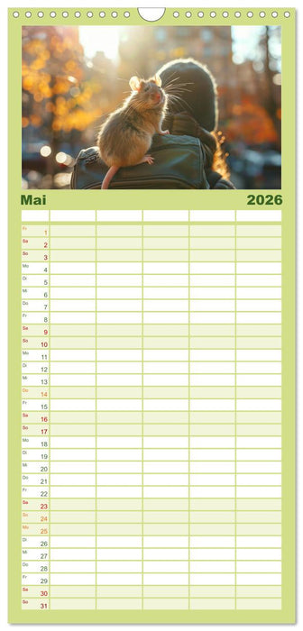 Mein bester Kumpel ist eine Ratte (CALVENDO Familienplaner 2026)