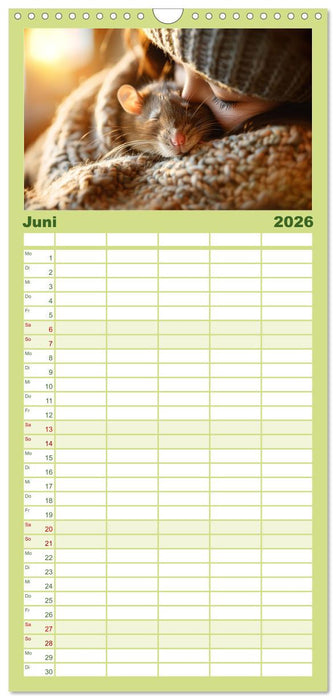 Mein bester Kumpel ist eine Ratte (CALVENDO Familienplaner 2026)