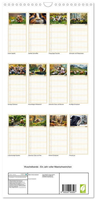 Wuschelbande - Ein Jahr voller Meerschweinchen (CALVENDO Familienplaner 2026)