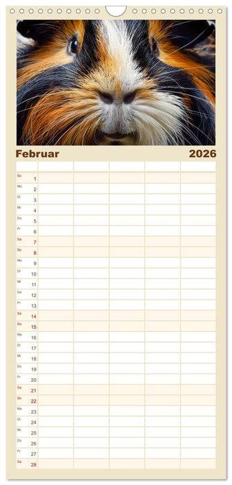 Wuschelbande - Ein Jahr voller Meerschweinchen (CALVENDO Familienplaner 2026)