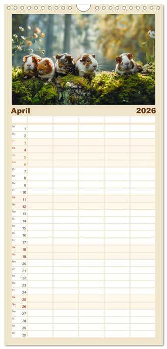 Wuschelbande - Ein Jahr voller Meerschweinchen (CALVENDO Familienplaner 2026)