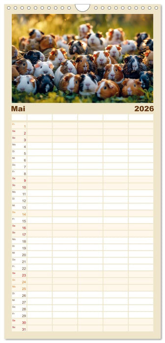 Wuschelbande - Ein Jahr voller Meerschweinchen (CALVENDO Familienplaner 2026)