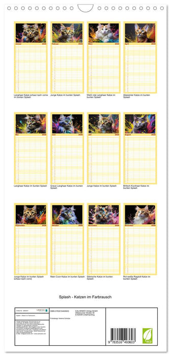 Splash - Katzen im Farbrausch (CALVENDO Familienplaner 2026)