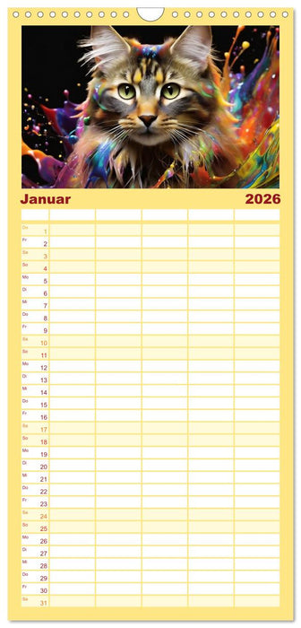 Splash - Katzen im Farbrausch (CALVENDO Familienplaner 2026)