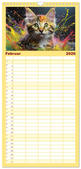 Splash - Katzen im Farbrausch (CALVENDO Familienplaner 2026)