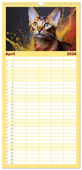 Splash - Katzen im Farbrausch (CALVENDO Familienplaner 2026)
