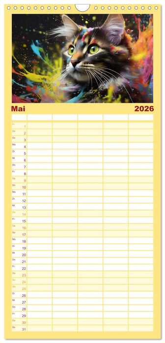 Splash - Katzen im Farbrausch (CALVENDO Familienplaner 2026)