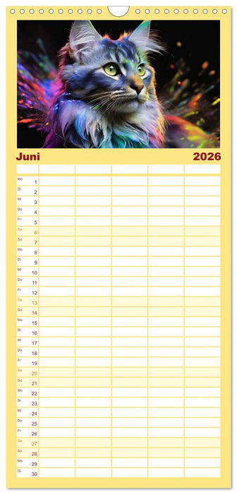 Splash - Katzen im Farbrausch (CALVENDO Familienplaner 2026)