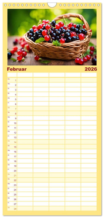 Gesundes frisches Obst (CALVENDO Familienplaner 2026)