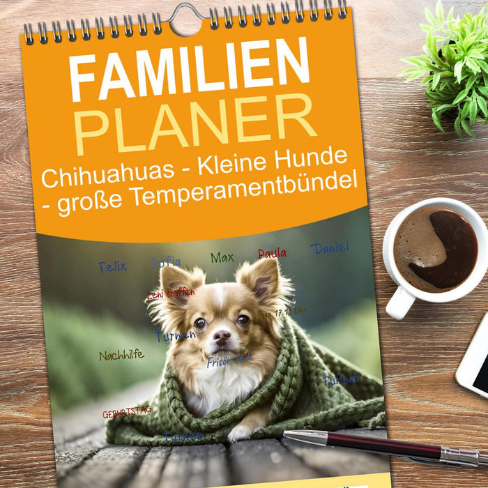 Chihuahuas - Kleine Hunde - große Temperamentbündel (CALVENDO Familienplaner 2026)