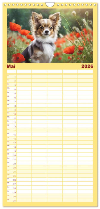 Chihuahuas - Kleine Hunde - große Temperamentbündel (CALVENDO Familienplaner 2026)