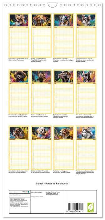 Splash - Hunde im Farbrausch (CALVENDO Familienplaner 2026)
