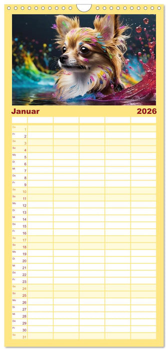 Splash - Hunde im Farbrausch (CALVENDO Familienplaner 2026)