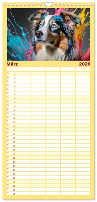 Splash - Hunde im Farbrausch (CALVENDO Familienplaner 2026)