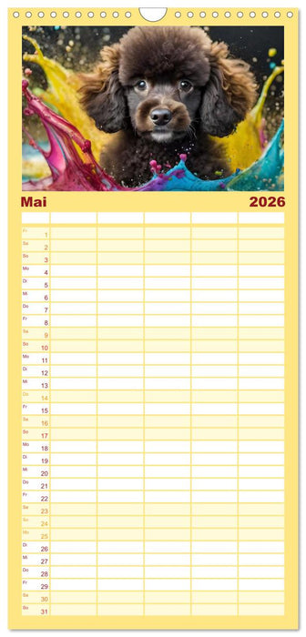 Splash - Hunde im Farbrausch (CALVENDO Familienplaner 2026)