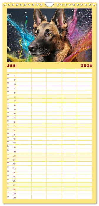 Splash - Hunde im Farbrausch (CALVENDO Familienplaner 2026)