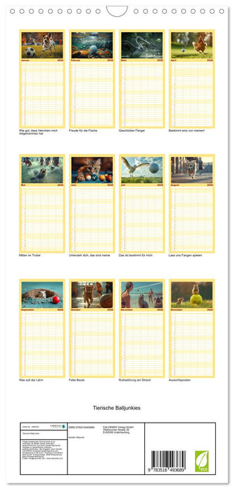 Tierische Balljunkies (CALVENDO Familienplaner 2026)
