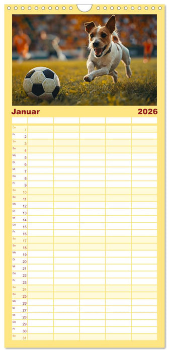 Tierische Balljunkies (CALVENDO Familienplaner 2026)