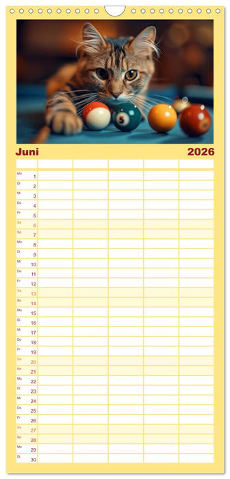 Tierische Balljunkies (CALVENDO Familienplaner 2026)