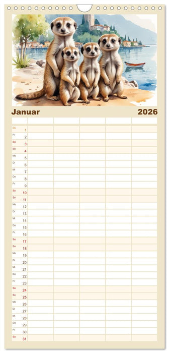 Erdmännchen in Italien (CALVENDO Familienplaner 2026)