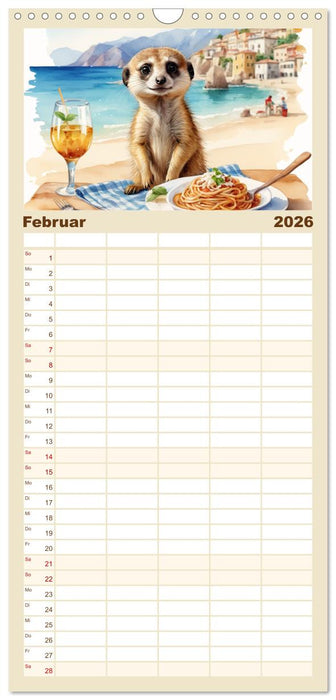 Erdmännchen in Italien (CALVENDO Familienplaner 2026)