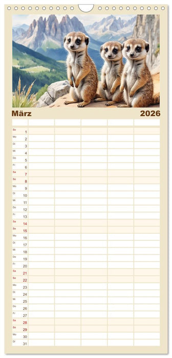 Erdmännchen in Italien (CALVENDO Familienplaner 2026)