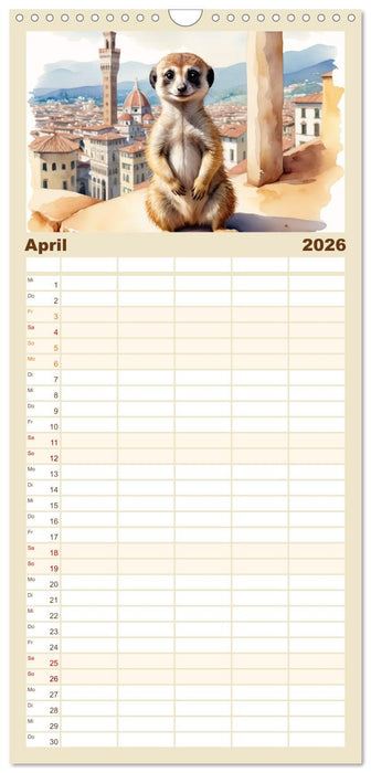 Erdmännchen in Italien (CALVENDO Familienplaner 2026)