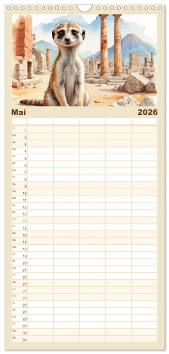 Erdmännchen in Italien (CALVENDO Familienplaner 2026)