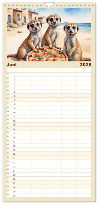 Erdmännchen in Italien (CALVENDO Familienplaner 2026)