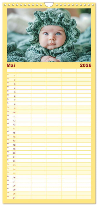 Lustige Strick-Ideen (CALVENDO Familienplaner 2026)