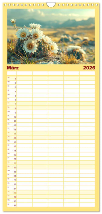 Kaktussi (CALVENDO Familienplaner 2026)