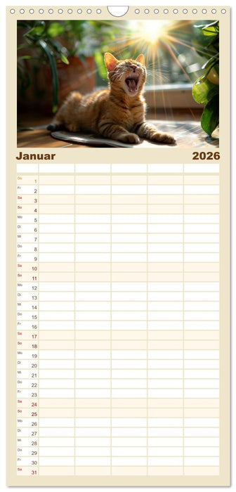 Ansteckend müde! (CALVENDO Familienplaner 2026)