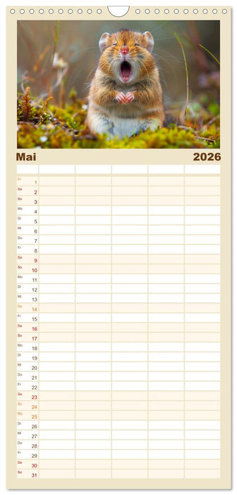 Ansteckend müde! (CALVENDO Familienplaner 2026)