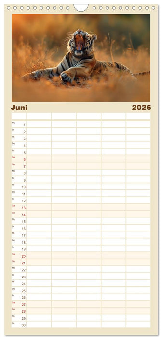 Ansteckend müde! (CALVENDO Familienplaner 2026)