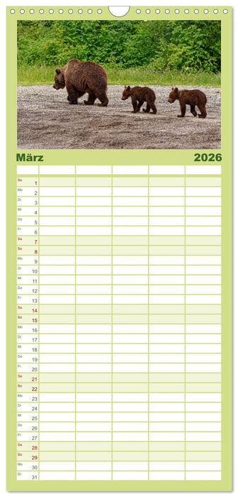 Siebenbürgen und das Fagaras Gebirge (CALVENDO Familienplaner 2026)