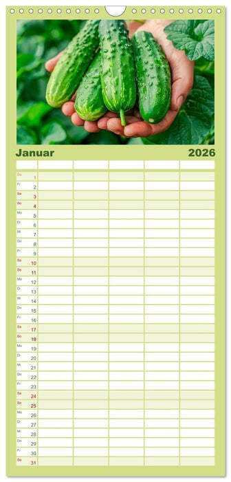 Mein Gemüsegarten - Ein Jahr knackig frisches Gemüse (CALVENDO Familienplaner 2026)