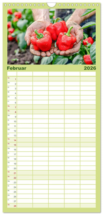 Mein Gemüsegarten - Ein Jahr knackig frisches Gemüse (CALVENDO Familienplaner 2026)