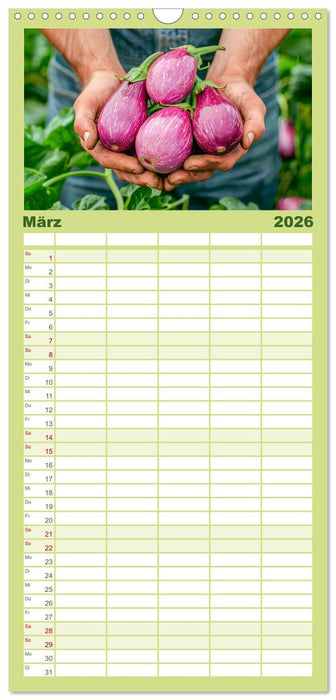 Mein Gemüsegarten - Ein Jahr knackig frisches Gemüse (CALVENDO Familienplaner 2026)