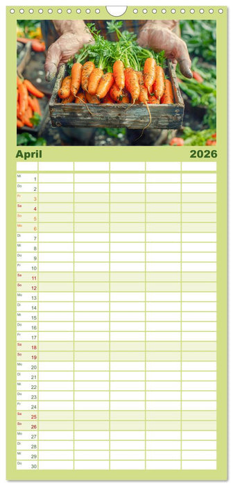 Mein Gemüsegarten - Ein Jahr knackig frisches Gemüse (CALVENDO Familienplaner 2026)