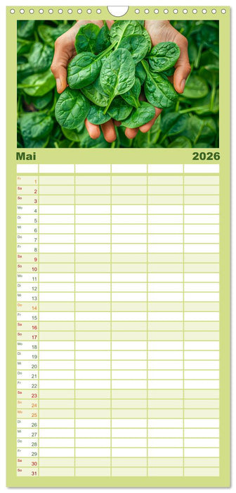 Mein Gemüsegarten - Ein Jahr knackig frisches Gemüse (CALVENDO Familienplaner 2026)