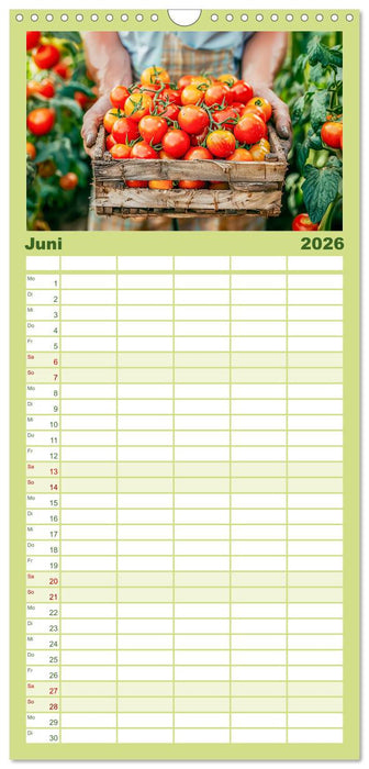 Mein Gemüsegarten - Ein Jahr knackig frisches Gemüse (CALVENDO Familienplaner 2026)