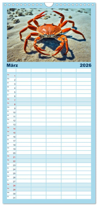 Tief unten im Meer Unterwasser Fantasy (CALVENDO Familienplaner 2026)