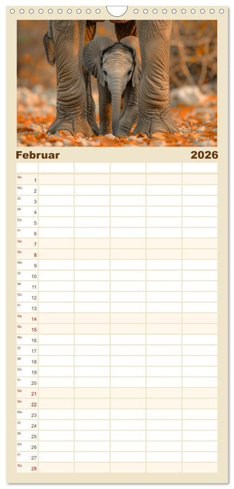 Liebenswerte Elefanten (CALVENDO Familienplaner 2026)