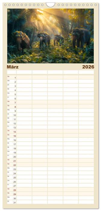 Liebenswerte Elefanten (CALVENDO Familienplaner 2026)