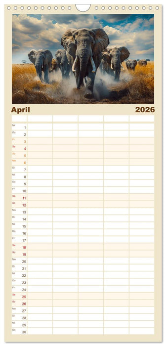 Liebenswerte Elefanten (CALVENDO Familienplaner 2026)